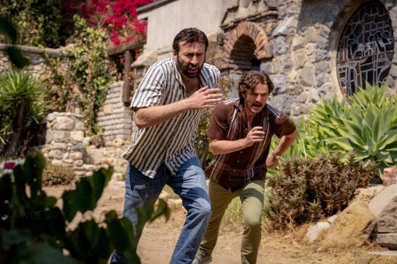 on-court-voir-un-talent-en-or-massif-avec-nicolas-cage-decouvrez-l-avis-de-la-redaction