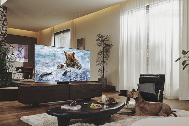 Samsung QN95B, TV Neo QLED Ultra HD 4K Mini LED 65'', 75'' et 85''