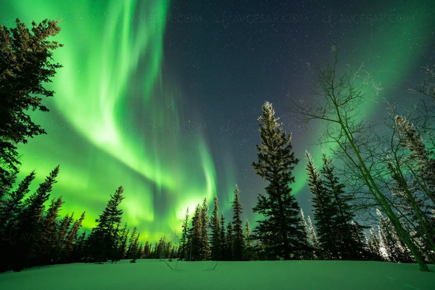 timelapse-aurore-boreale-en-8k-wow