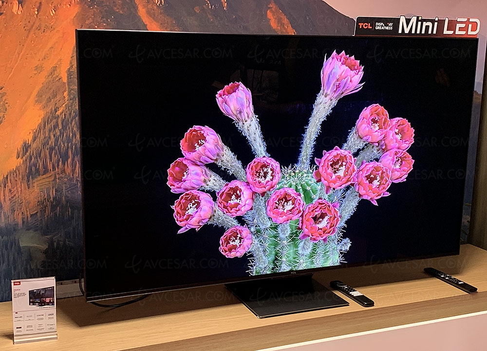 TV Ultra HD 4K TCL C835&nbsp;: Mini LED, QLED, 1&nbsp;000&nbsp;nits, Dolby Vision/Atmos, HDR10+, 144&nbsp;Hz et&nbsp;Google&nbsp;TV