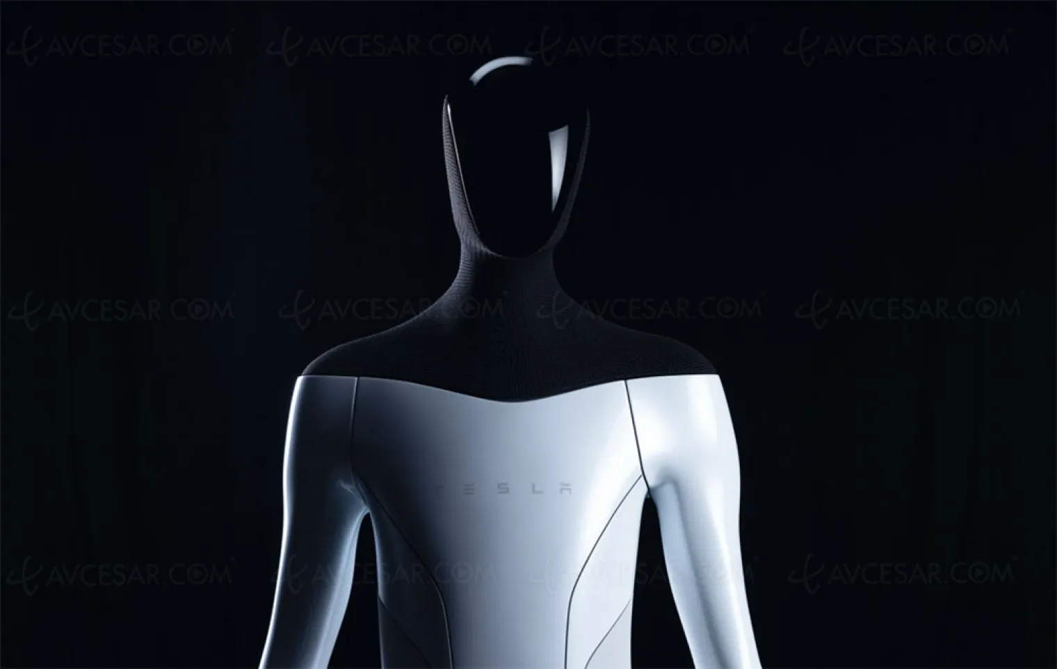 optimus-le-robot-de-tesla-entrera-en-production-l-annee-prochaine