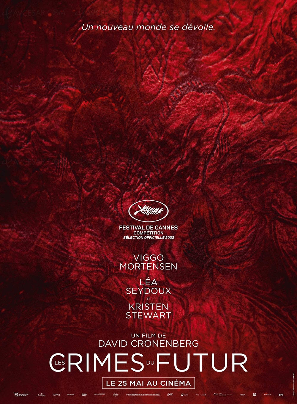 Énorme bande-annonce des Crimes du futur de Cronenberg, en compét à&nbsp;Cannes