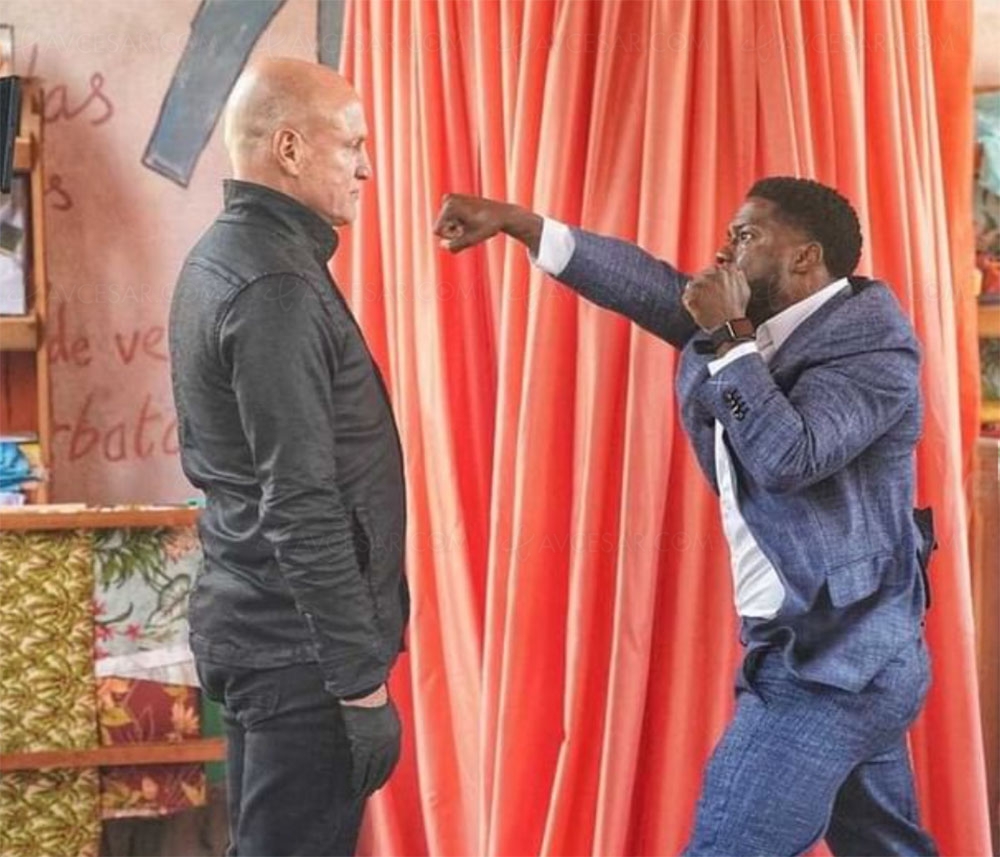 The&nbsp;Man from Toronto&nbsp;: Netflix se paie Kevin Hart et Woody&nbsp;Harrelson