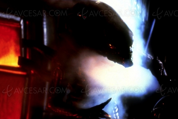 Quel est le point commun entre WandaVision et la future série prequel&nbsp;Alien&nbsp;?