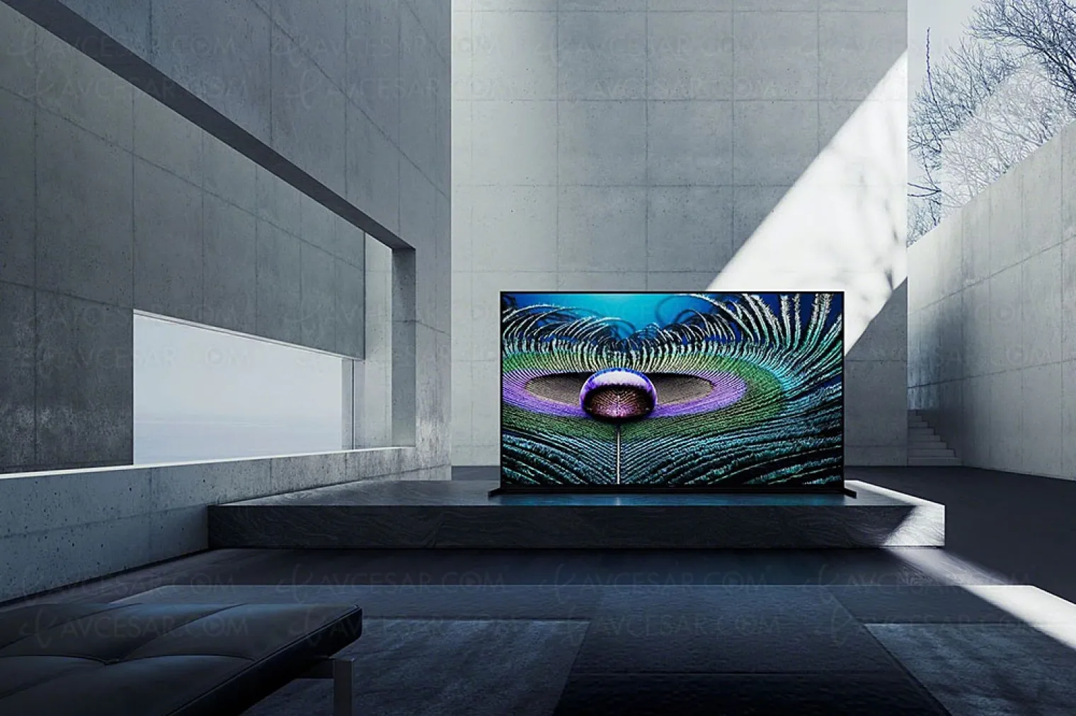 bon-plan-tv-ultra-hd-8k-sony-xr-85z9j-a-5-841-soit-42-ou-4-149-de-remise