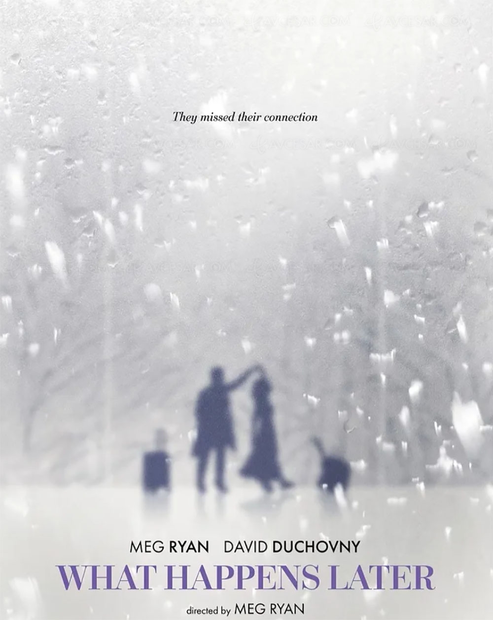 Meg Ryan va réaliser une comédie romantique avec David&nbsp;Duchovny
