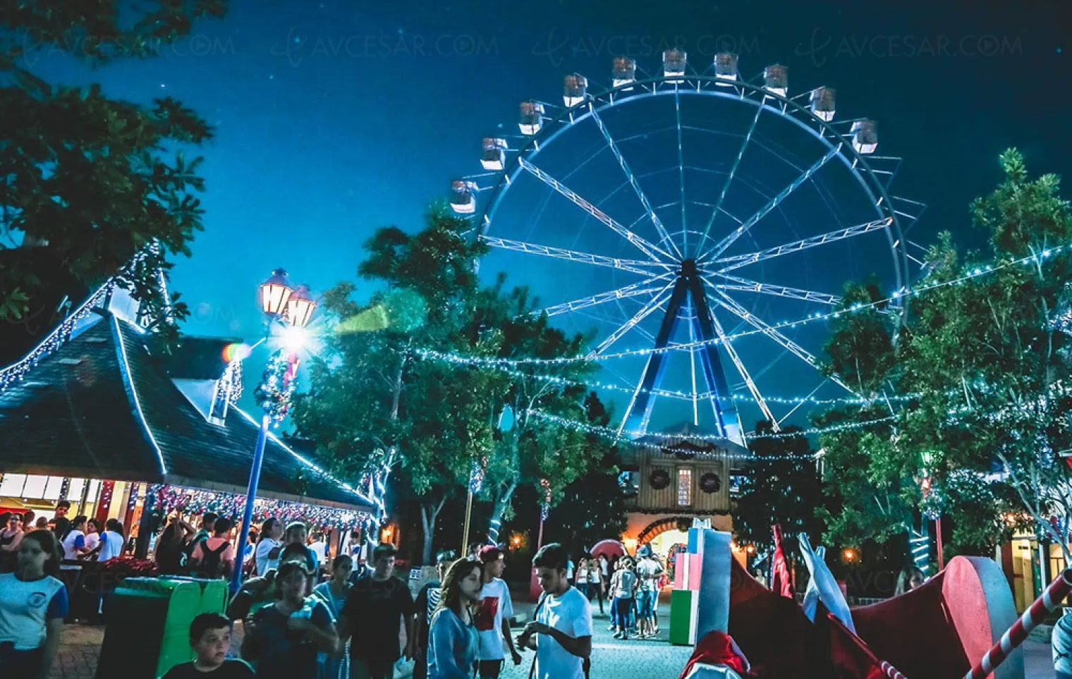 le-streaming-grand-vainqueur-de-la-pandemie