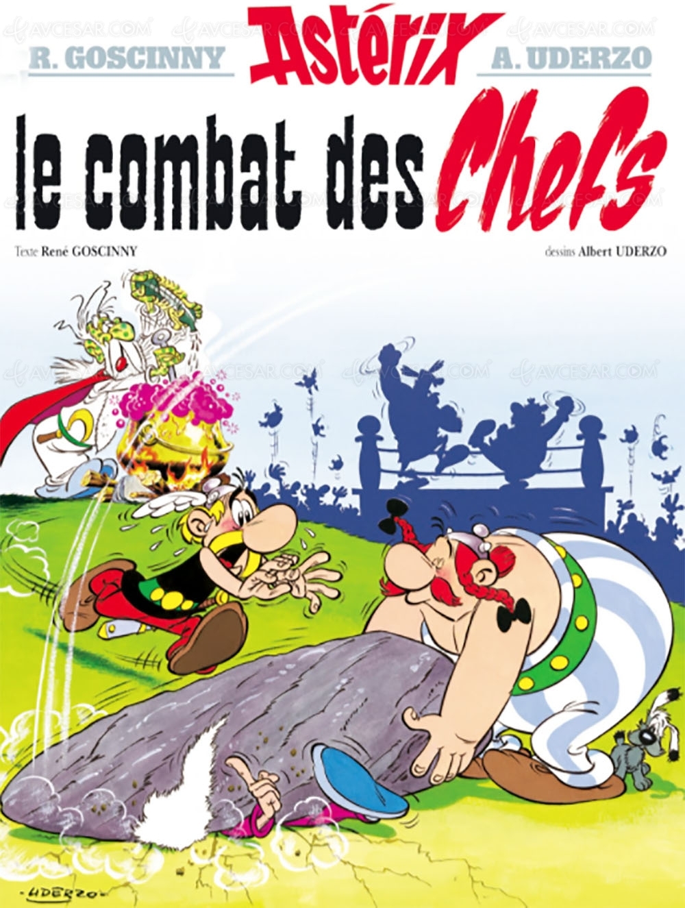Alain Chabat vient d’achever le script d’une mini-série 3D Astérix pour&nbsp;Netflix