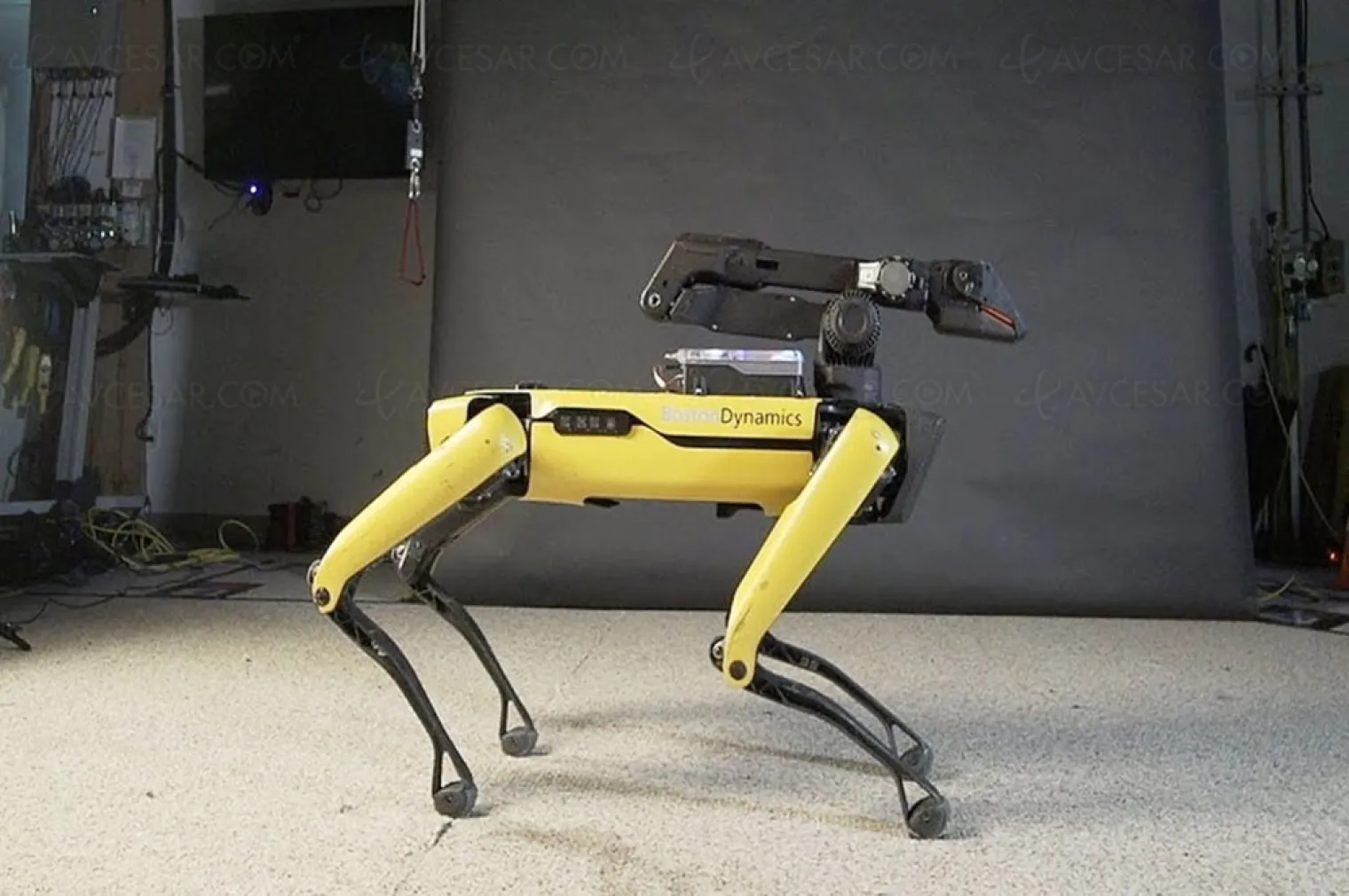 le-chien-robot-spot-de-boston-dynamics-va-deminer-en-ukraine