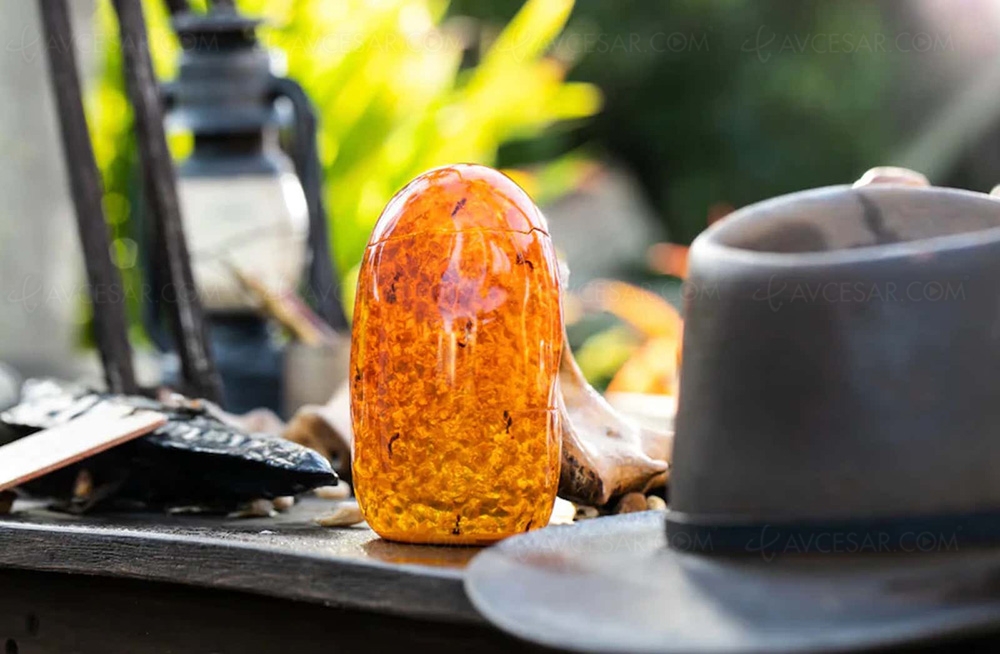 Les trésors d’Indiana Jones «&nbsp;s'offrent&nbsp;» à&nbsp;vous