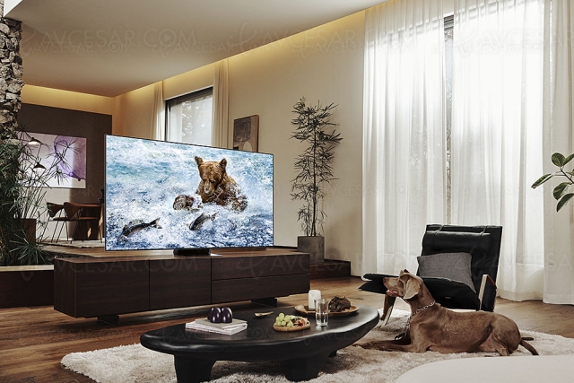 Test TV Neo QLED Ultra HD 8K Samsung QE75QN800B, en ligne
