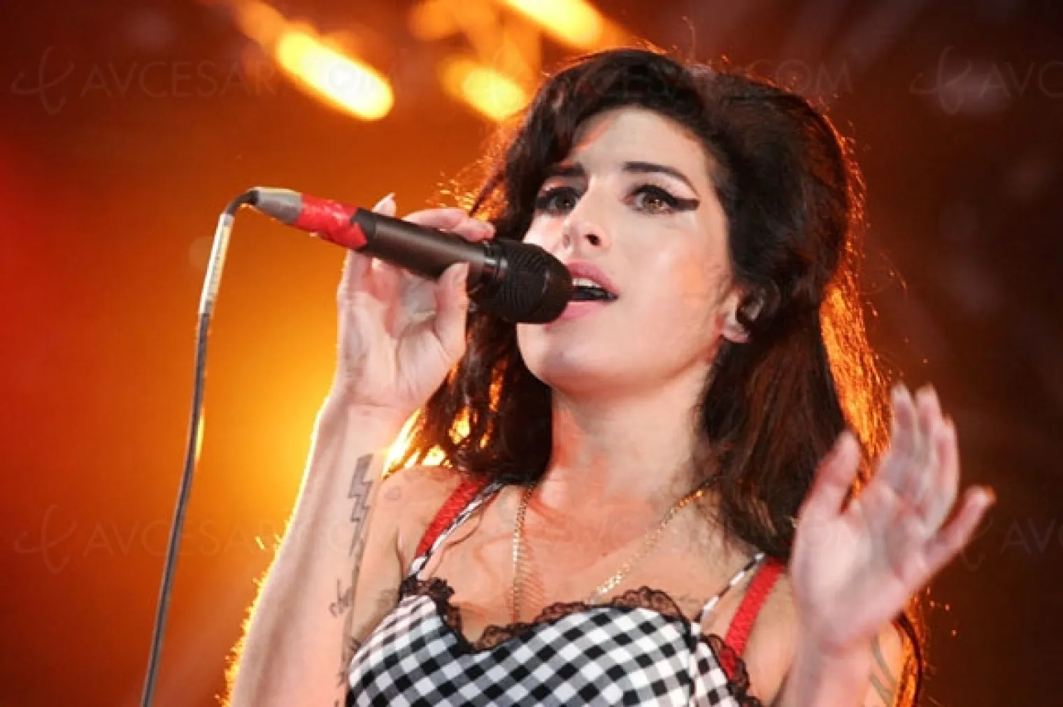 qui-sera-amy-winehouse-dans-le-biopic-de-la-realisatrice-de-50-nuances-de-grey