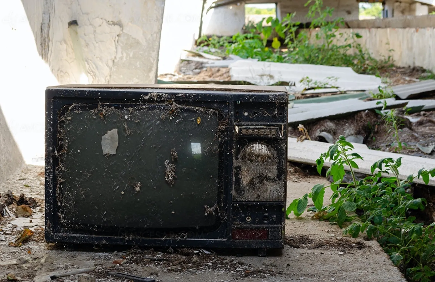 la-tv-traditionnelle-morte-dans-moins-de-dix-ans-dixit-netflix