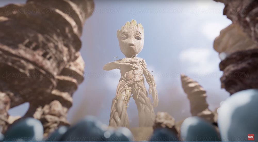 Marvel I am Groot, le 10&nbsp;août sur Disney+&nbsp;: bande‑annonce