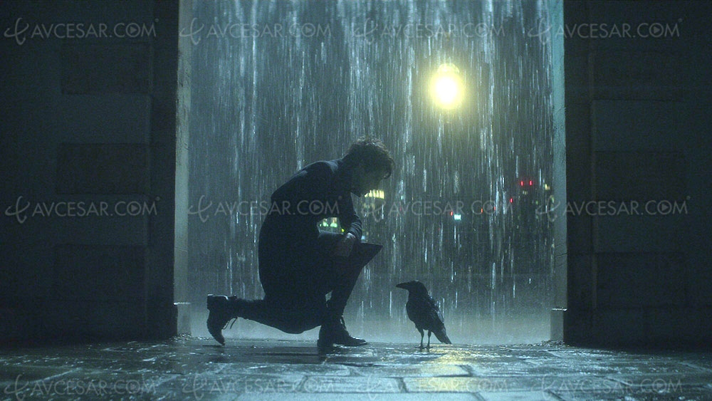 Quoi de neuf sur Netflix en&nbsp;août&nbsp;? Superhéros, chasseurs de vampires et&nbsp;baston (entre&nbsp;autres)