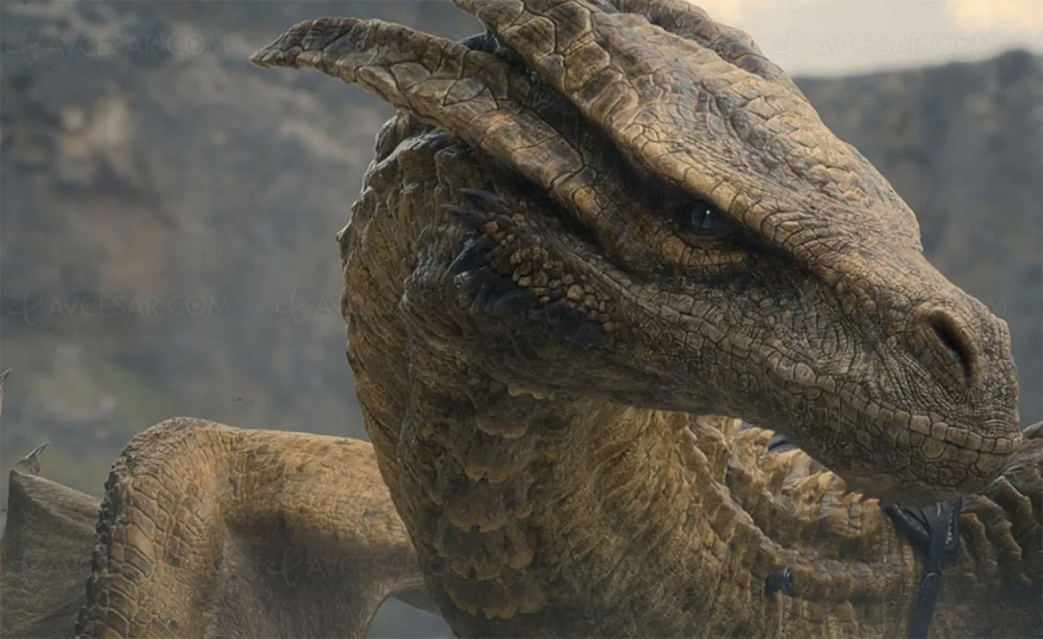 House of the Dragon : un démarrage de feu !