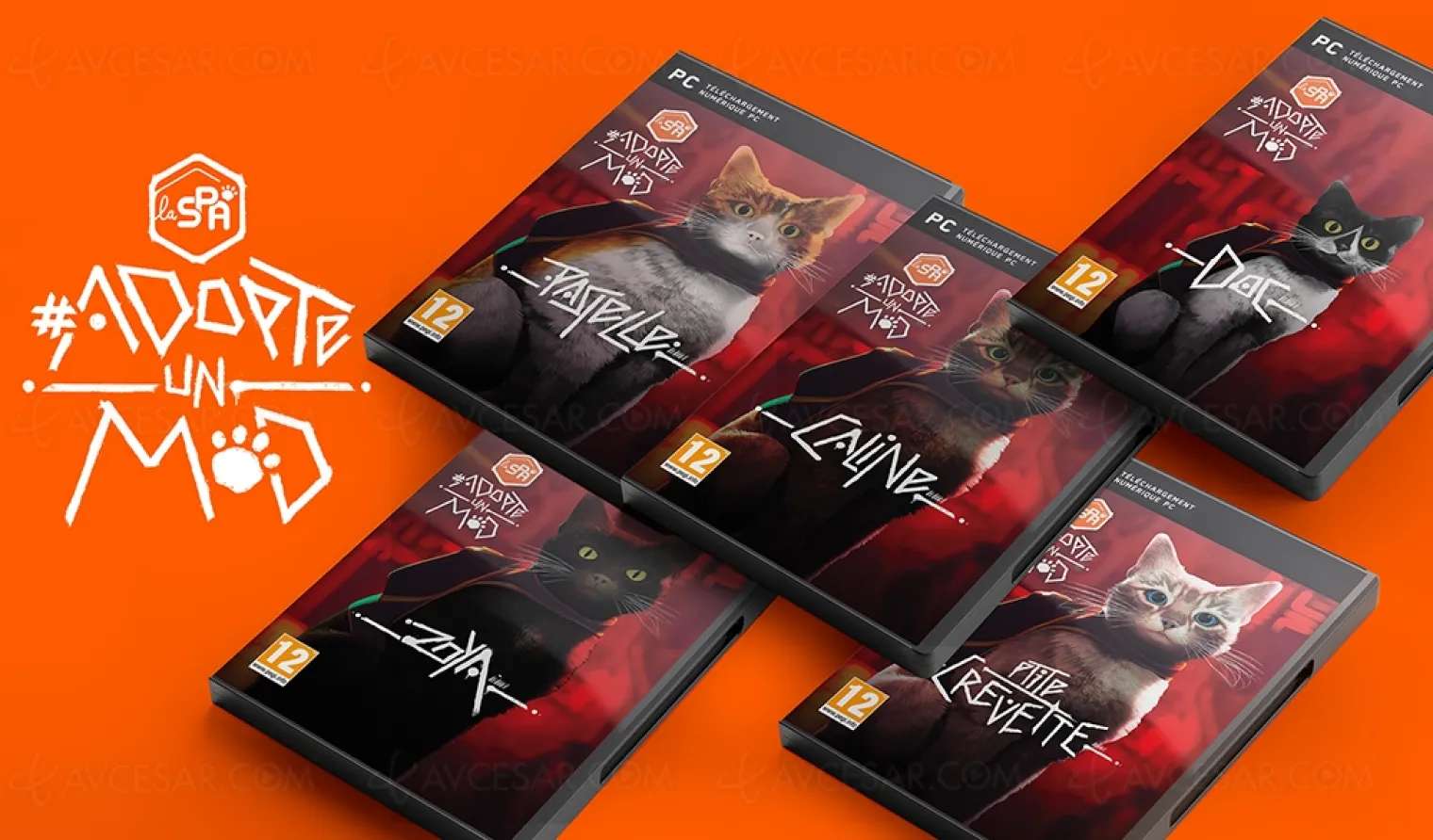 adoptez-un-vrai-chat-avec-le-jeu-stray-la-spa-a-la-pointe