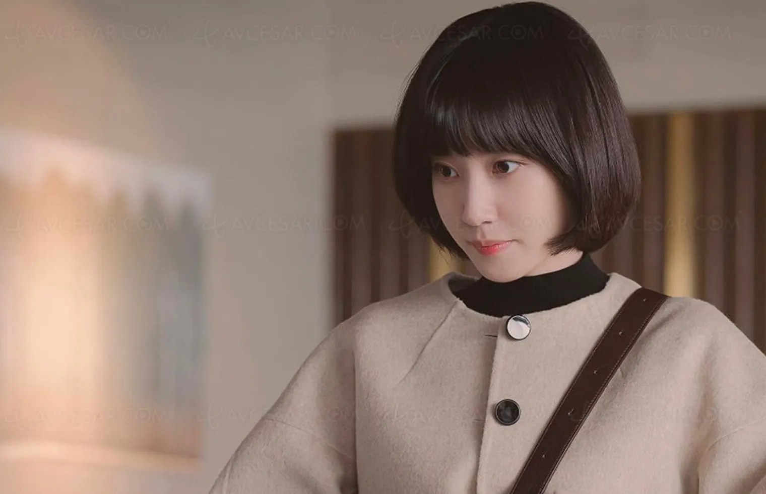 extraordinary-attorney-woo-nouveau-phenomene-coreen-sur-netflix