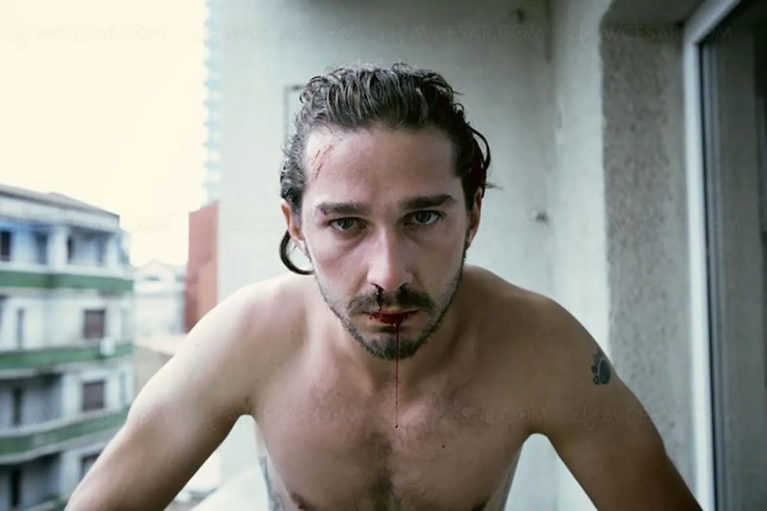 Francis Ford Coppola et Megalopolis, encore de grosses annonces casting