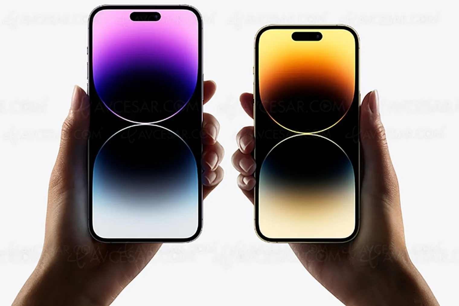 iphone-14-pro-et-14-pro-max-capteur-48-mpxls-et-encoche-a-geometrie-variable