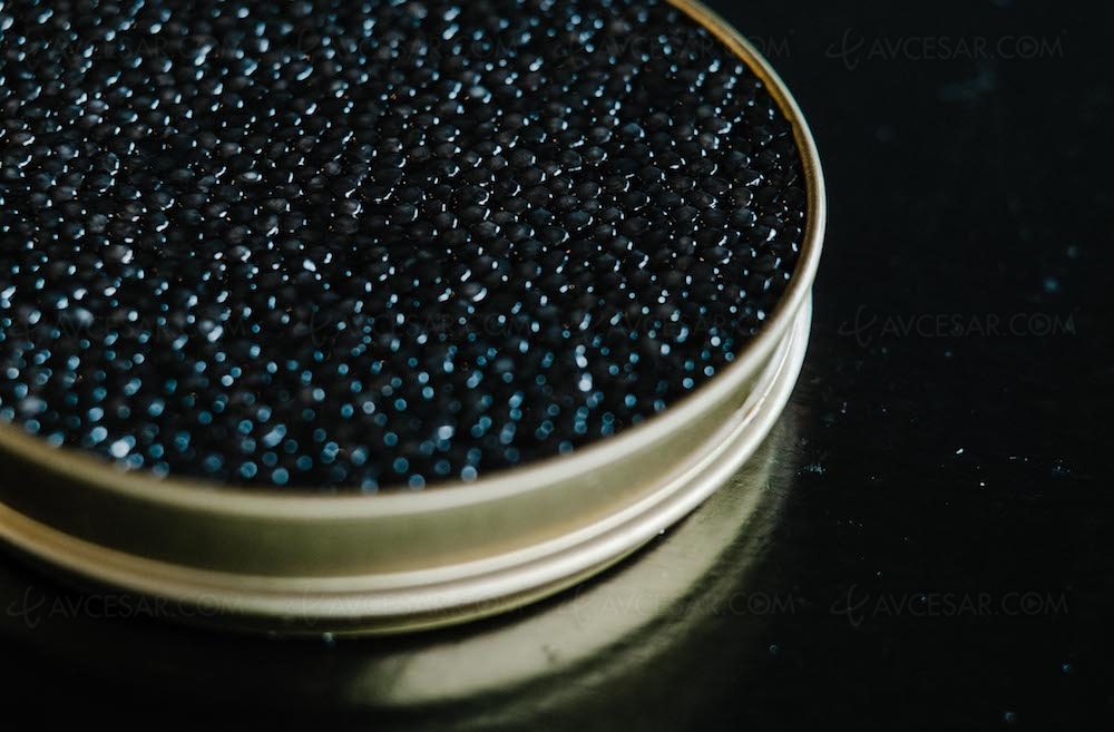 Google à l’assaut du Dolby Atmos/HDR Dolby Vision avec le&nbsp;HDR10+ en&nbsp;vedette