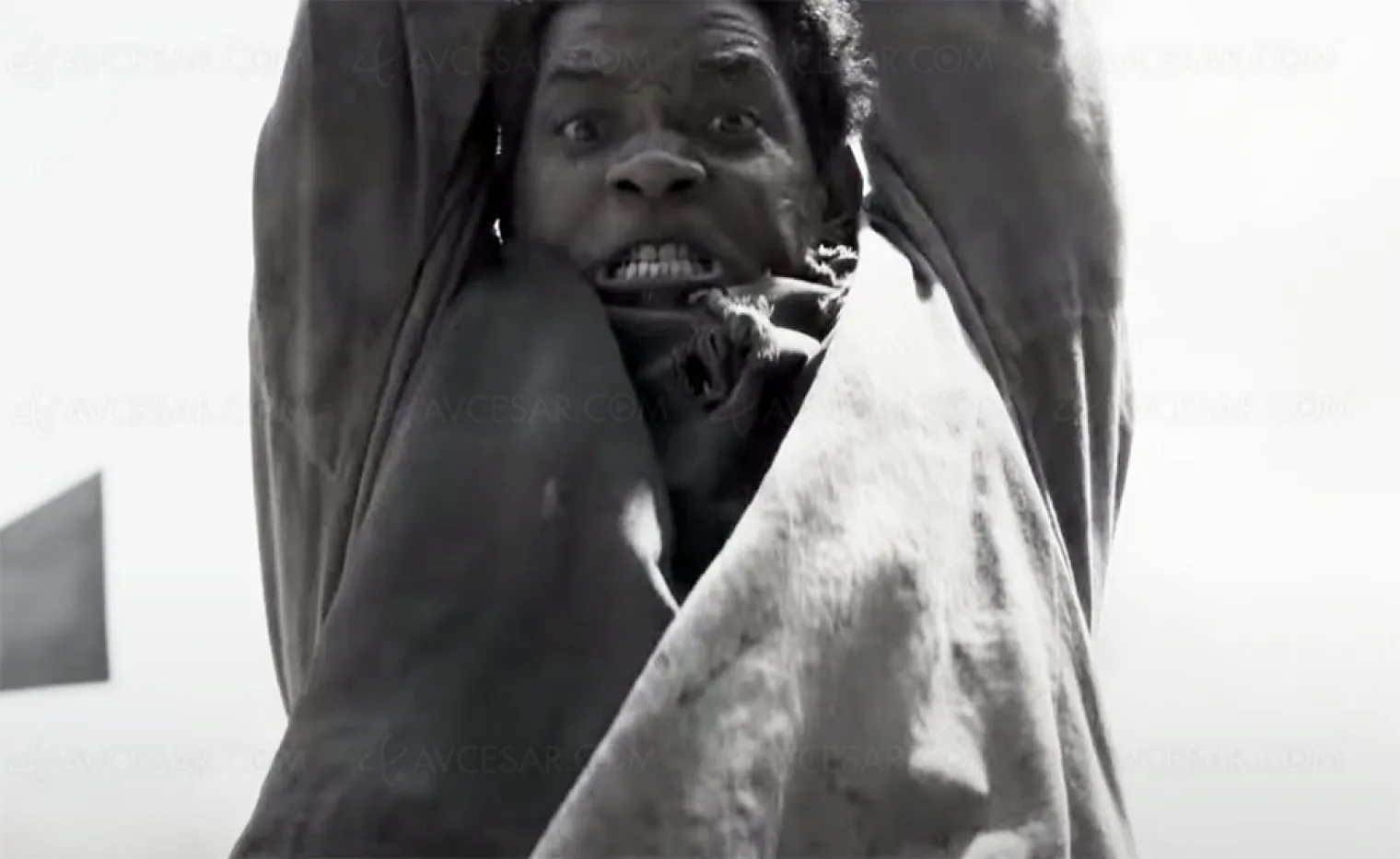 Bande-annonce Emancipation avec Will Smith, la claque