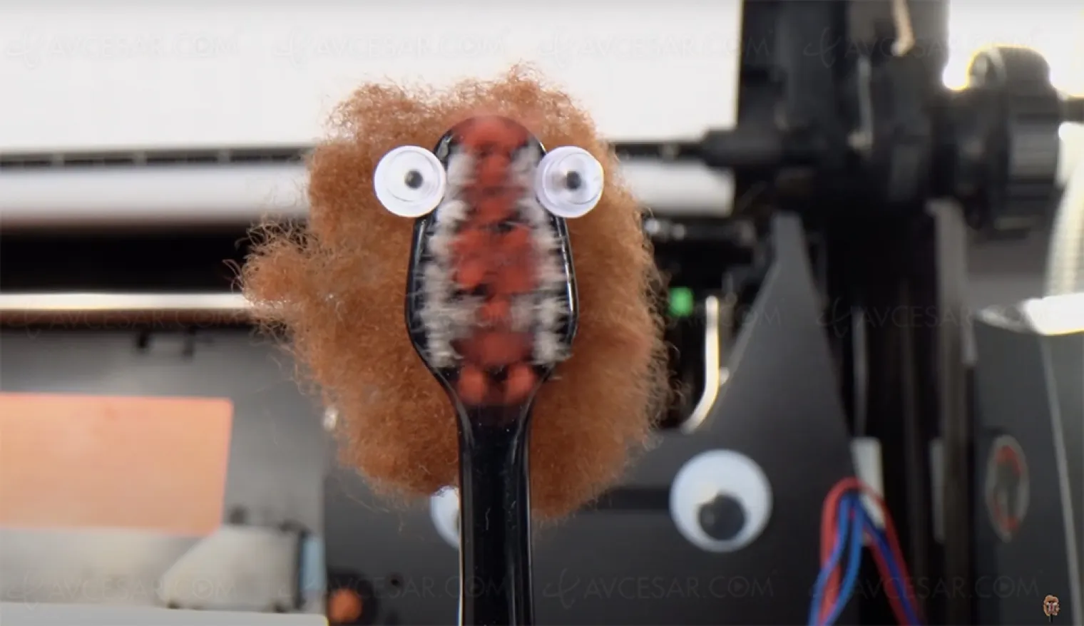 eye-of-the-tiger-joue-par-des-brosses-a-dents-rocky-a-l-haleine-fraiche