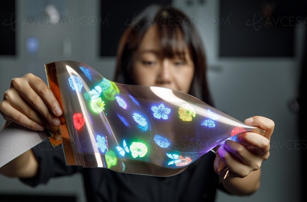 LG dévoile le premier écran élastique, basé sur la technologie Micro LED