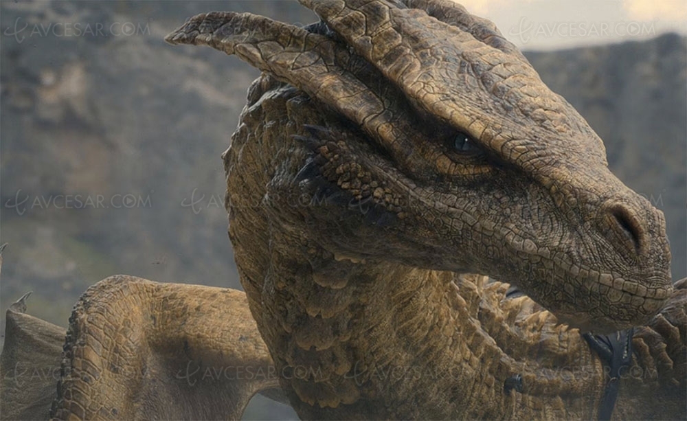 Canal+ rachèterait OCS et Orange Studio, Game of Thrones/House of the Dragon changent de&nbsp;crémerie