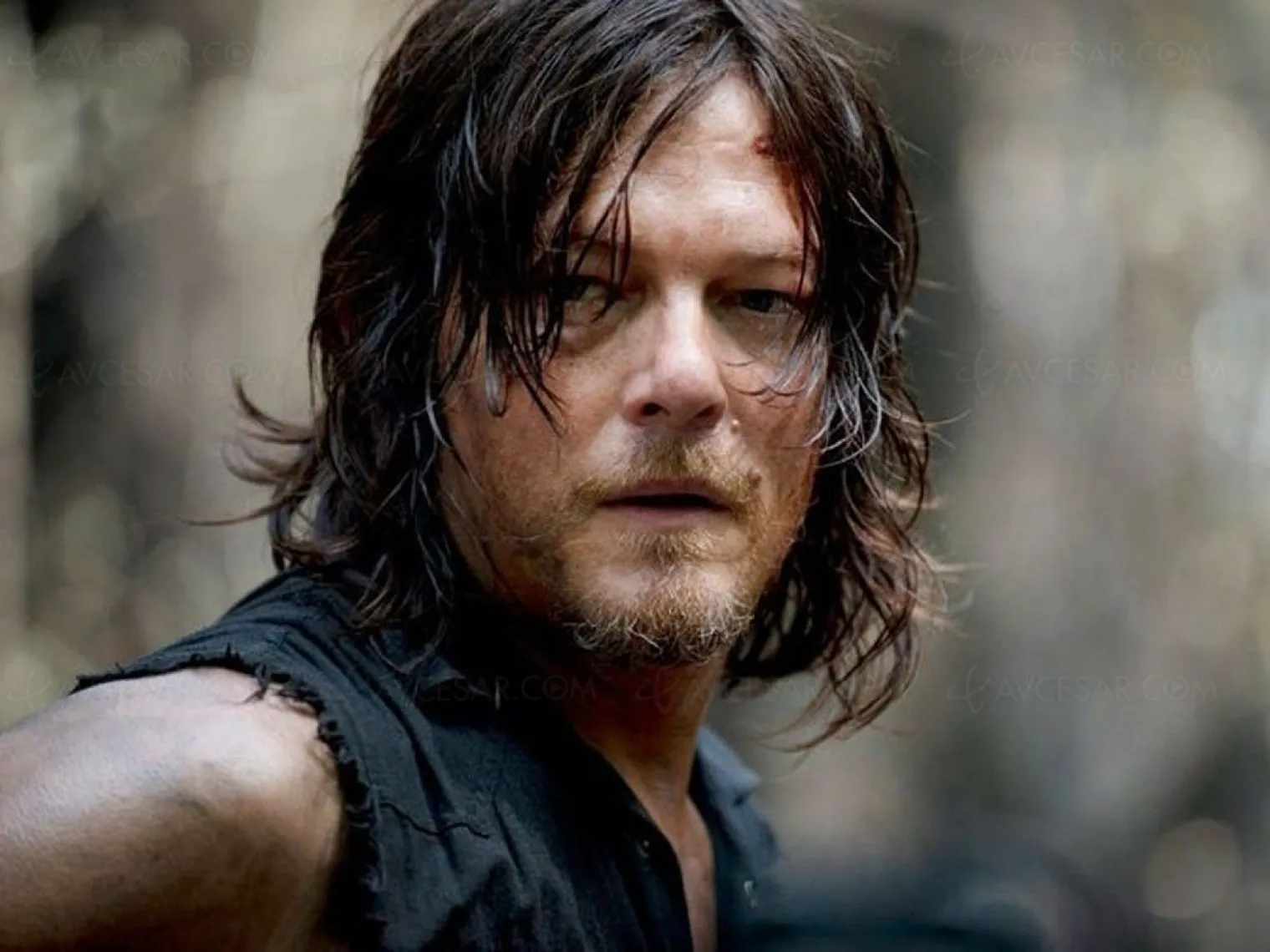 norman-reedus-integre-le-monde-de-john-wick