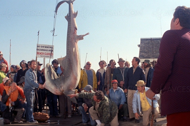 Spielberg évoque son énorme regret par rapport aux Dents de la mer