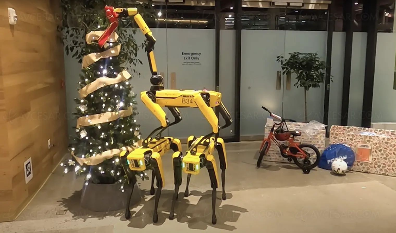 Joyeux Noël, de la part des futurs maîtres du monde (vidéo)