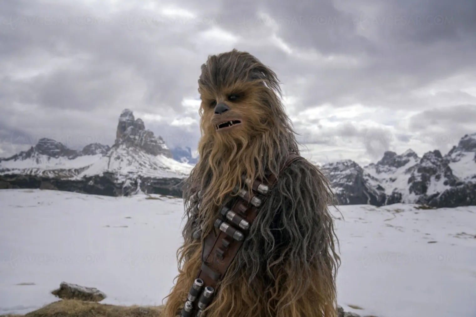star-wars-solo-2-ne-jamais-dire-jamais
