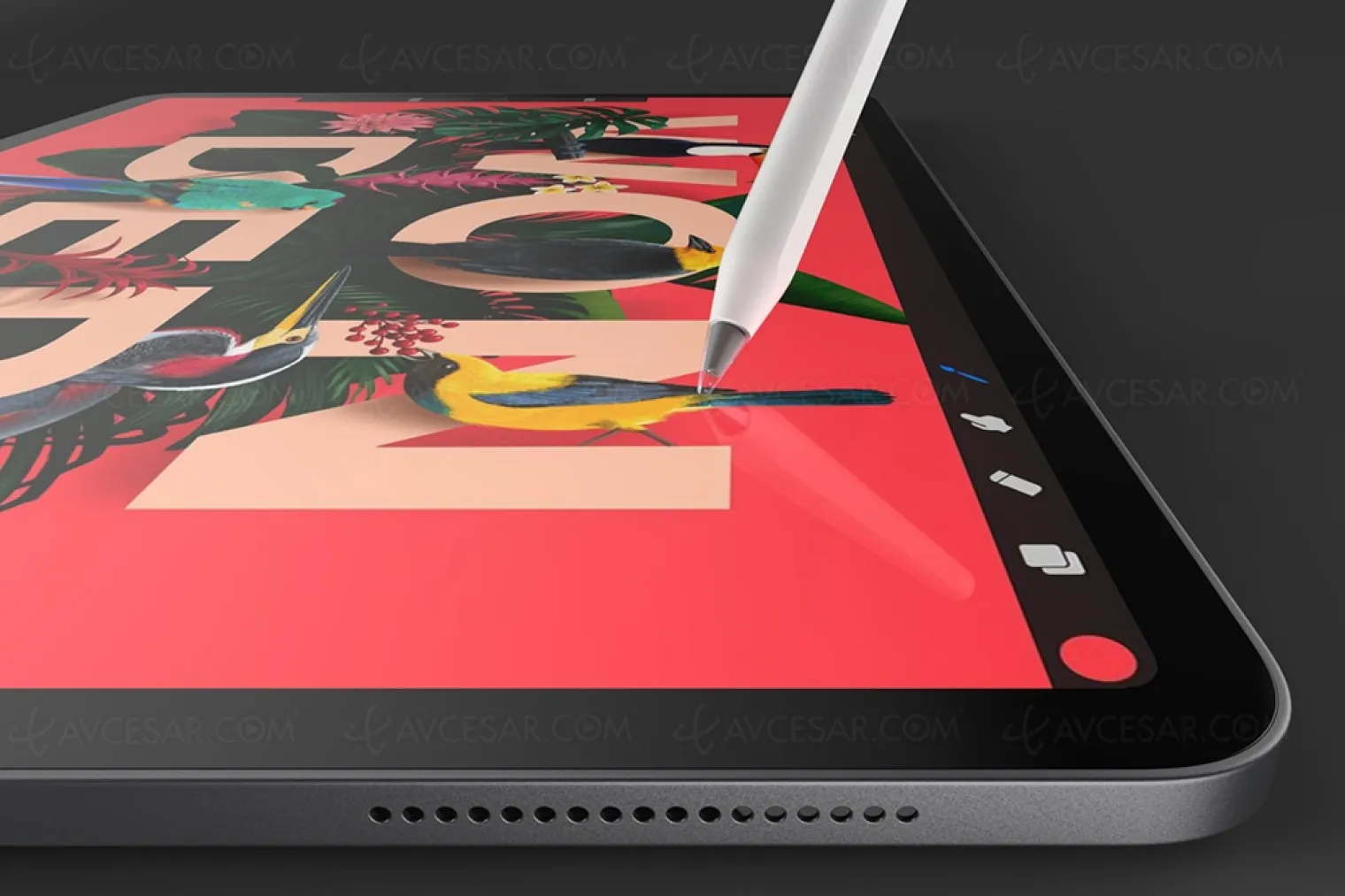 un-apple-pencil-qui-capture-les-couleurs-de-la-vie