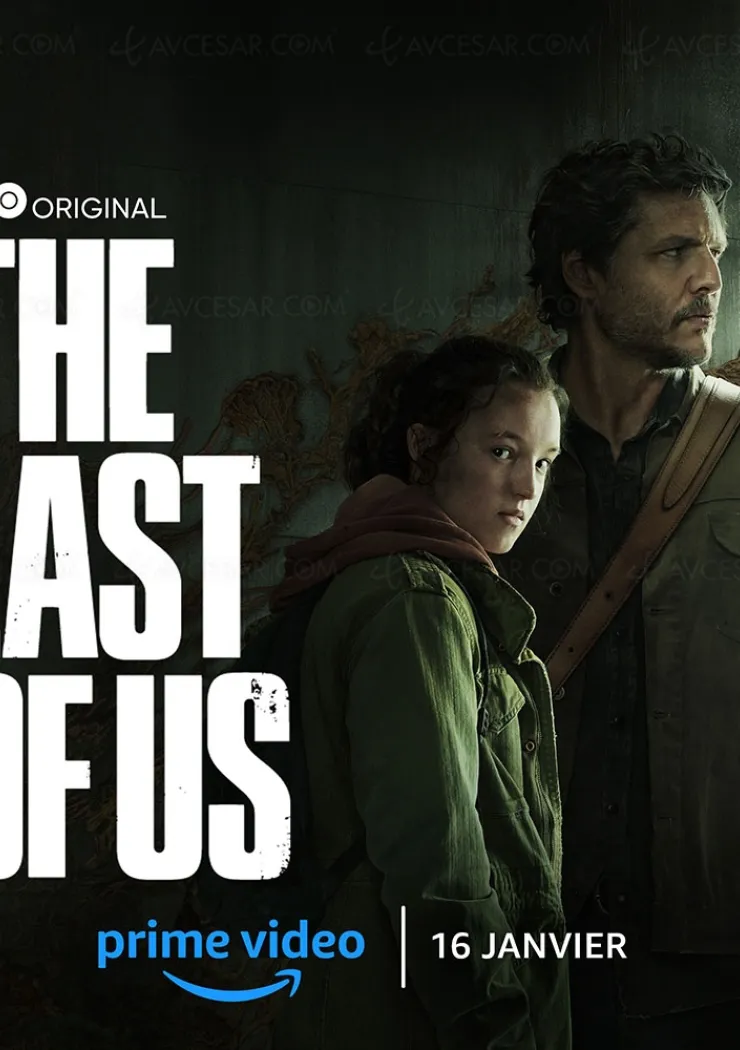 Série The Last of Us : on sait enfin où la regarder en France !