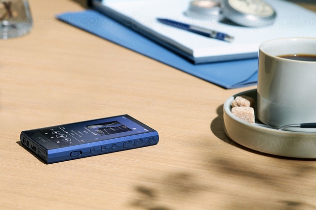 Walkman Sony NW‑A306, lecteur audio portable haut de gamme
