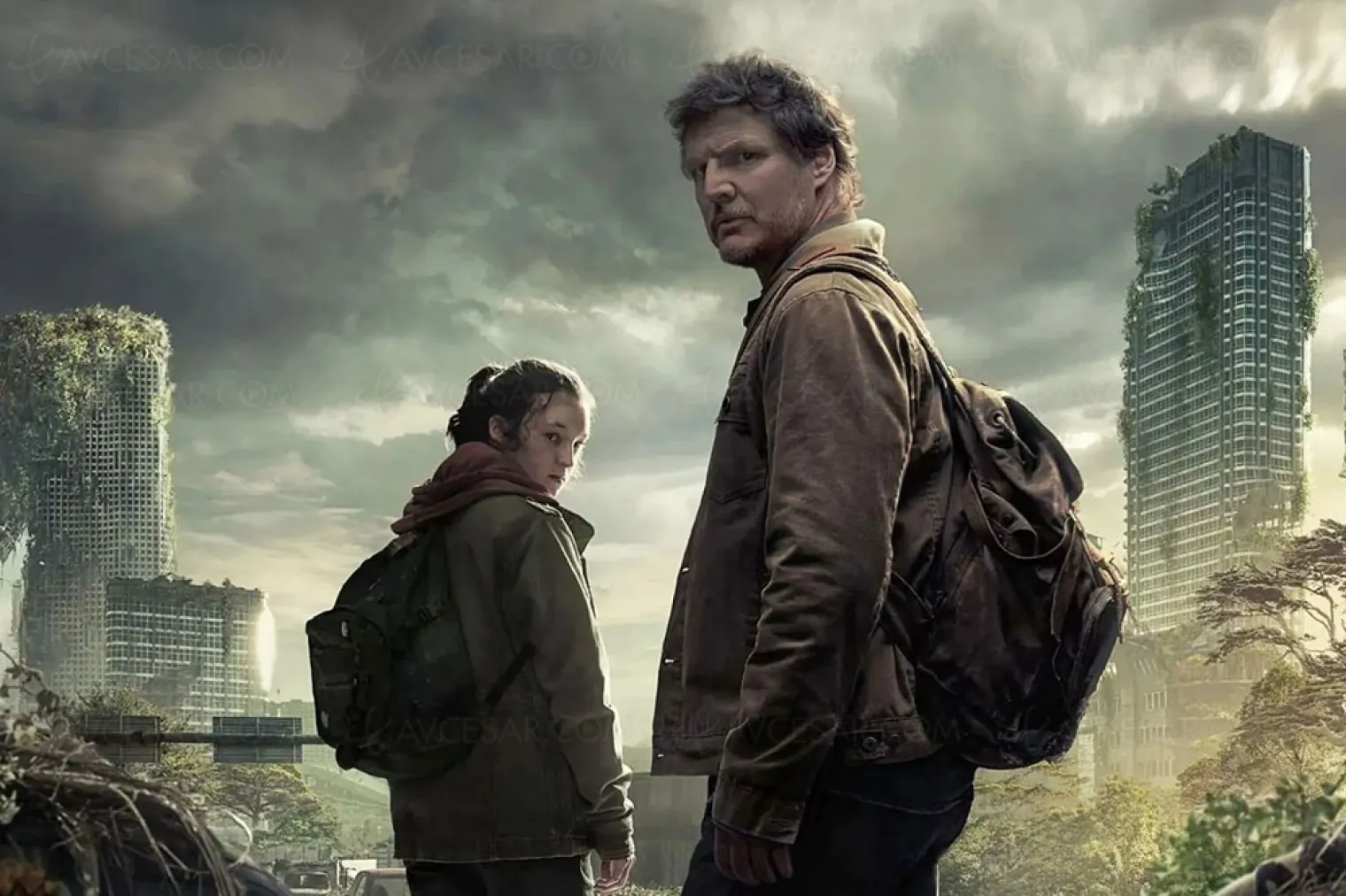 test-et-critique-the-last-of-us-saison-1-en-ligne