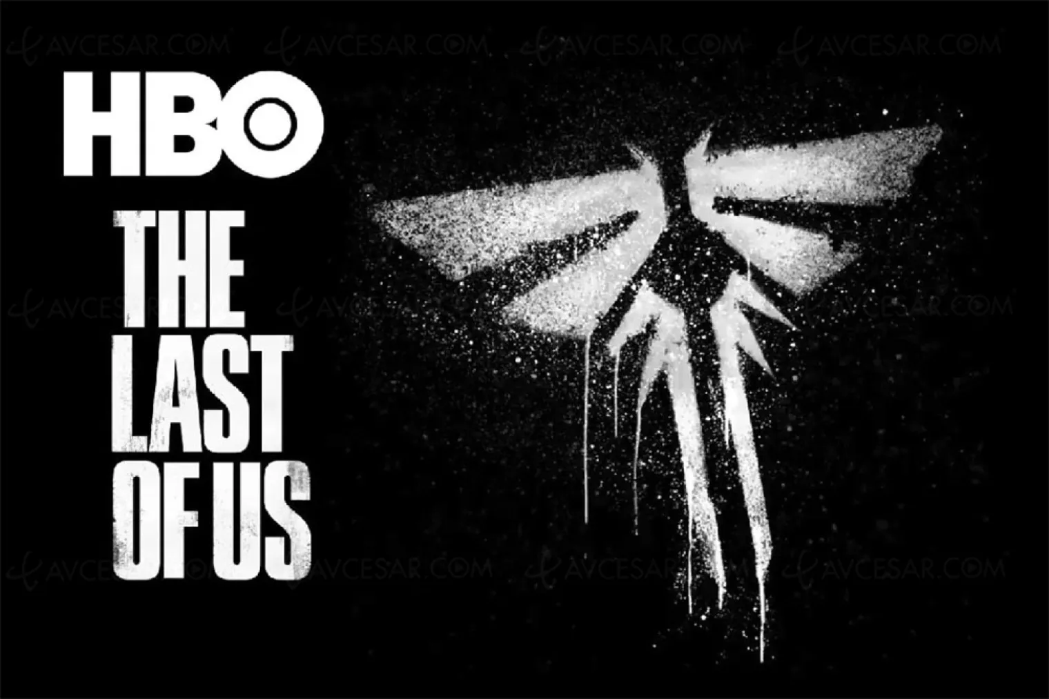 the-last-of-us-redonne-des-couleurs-a-hbo-aux-usa