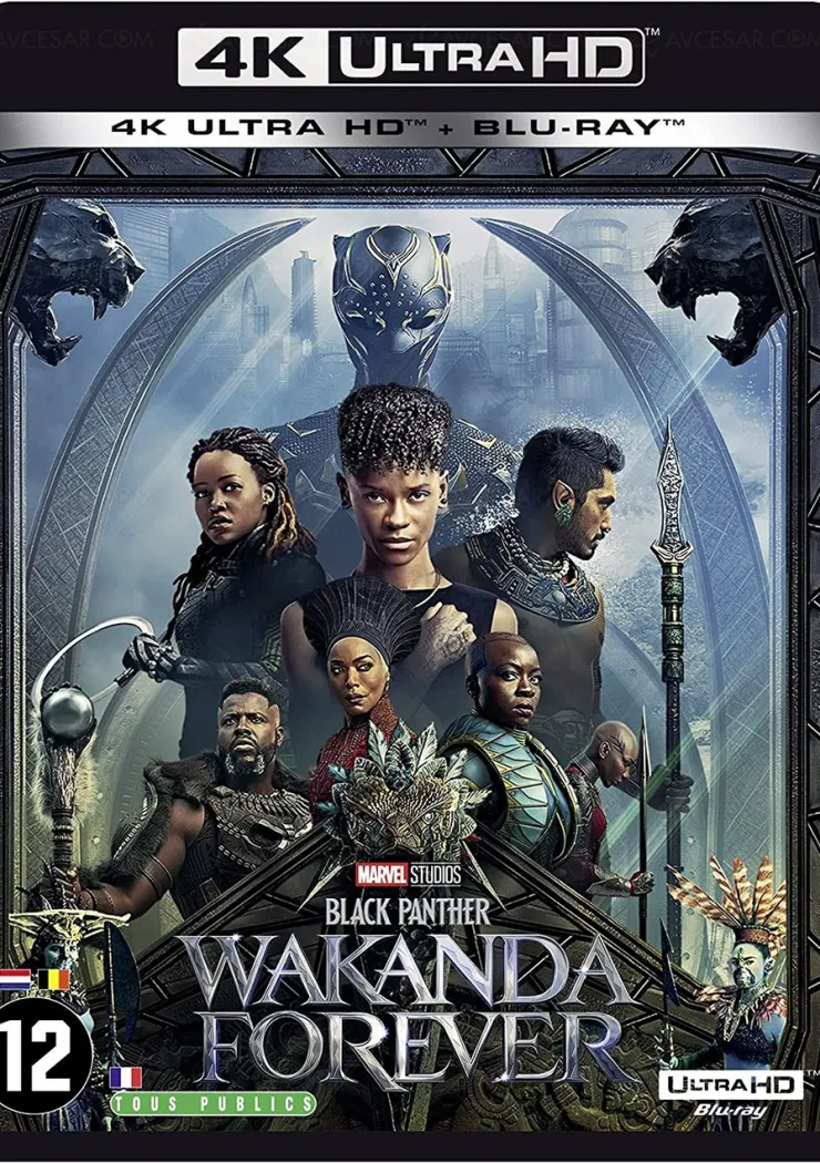 black-panther-wakanda-forever-en-4k-uhd-le-17-mars