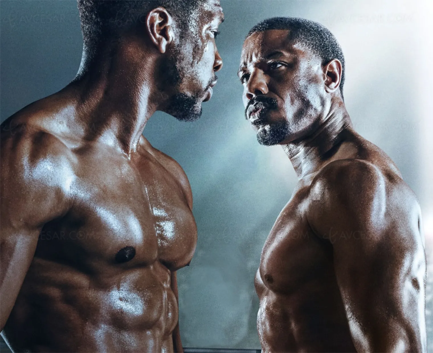 creed-iv-deja-dans-les-tuyaux-dixit-michael-b-jordan