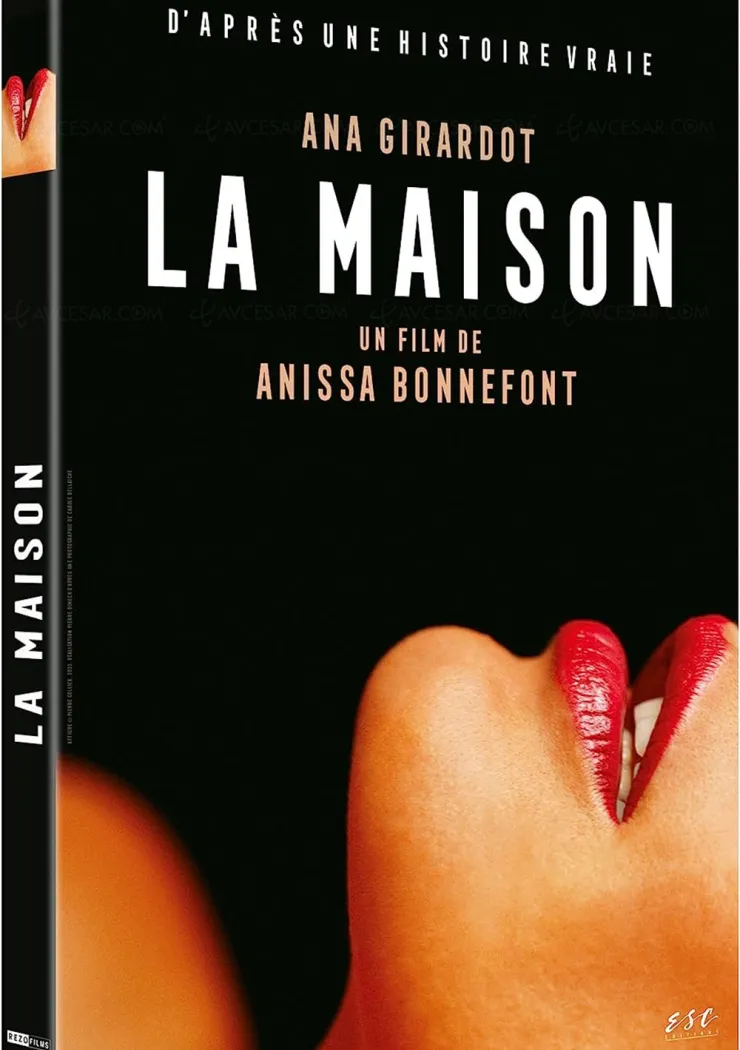 la-maison-une-authentique-plongee-dans-un-bordel-berlinois