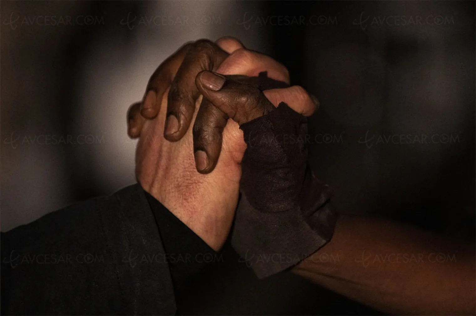 rick-and-michonne-le-spin-off-de-the-walking-dead-c-est-parti
