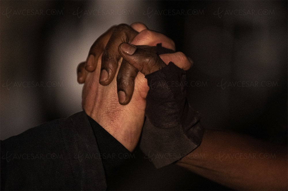 Rick and Michonne, le spin off de The&nbsp;Walking Dead, c’est&nbsp;parti&nbsp;!