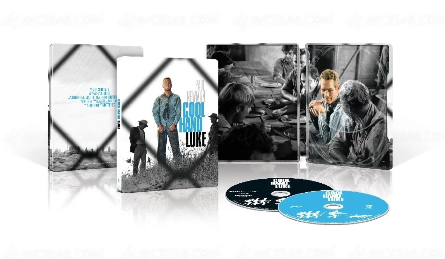 luke-la-main-froide-avec-paul-newman-le-steelbook-et-la-4k-en-avril
