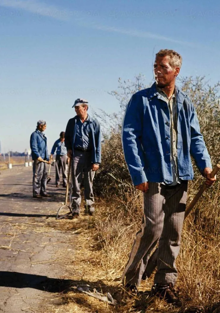 luke-la-main-froide-le-classique-avec-paul-newman-restaure-en-4k-le-5-avril