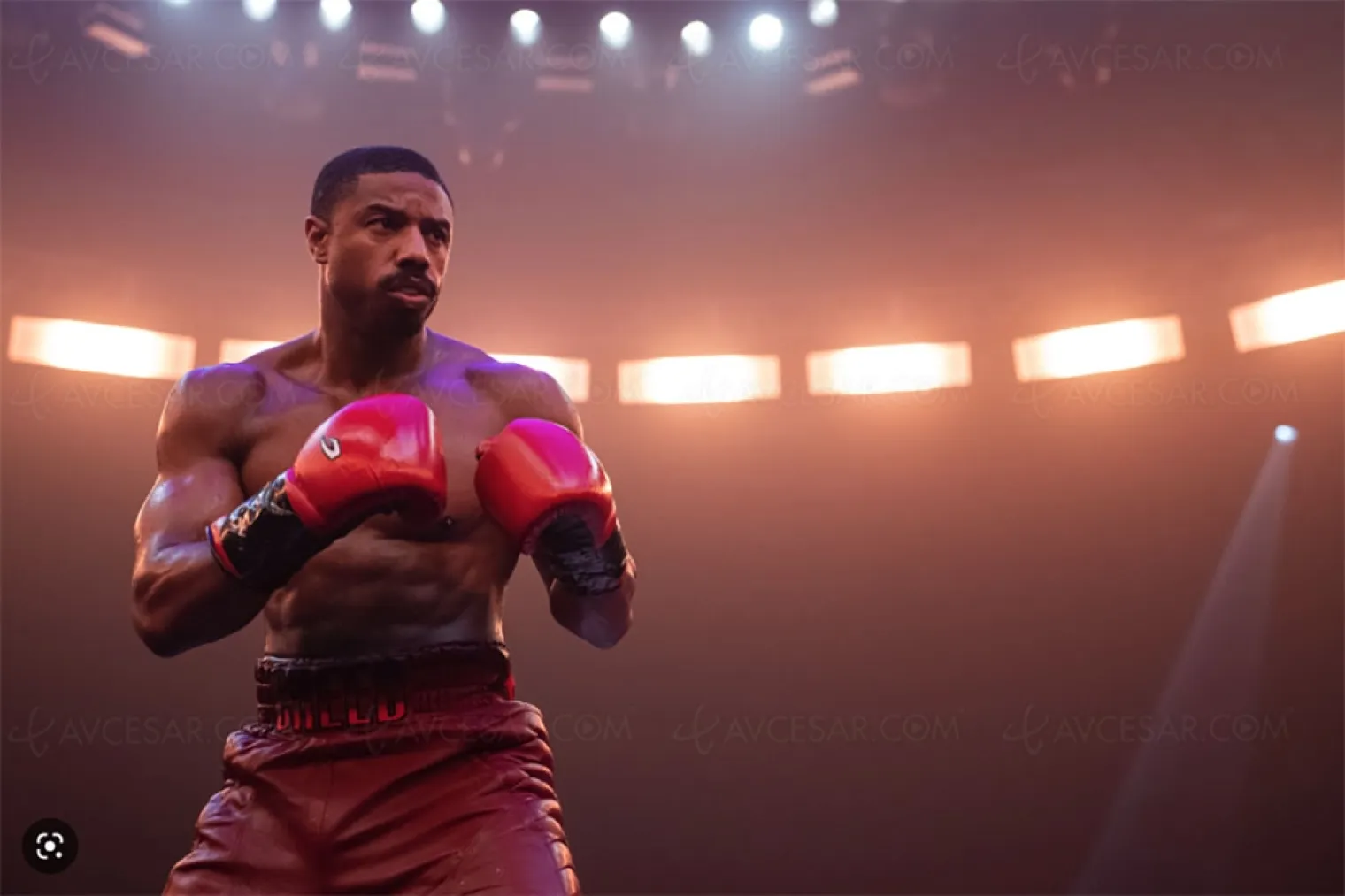 creed-iii-fait-un-carton-et-des-gnons-pendant-les-projections
