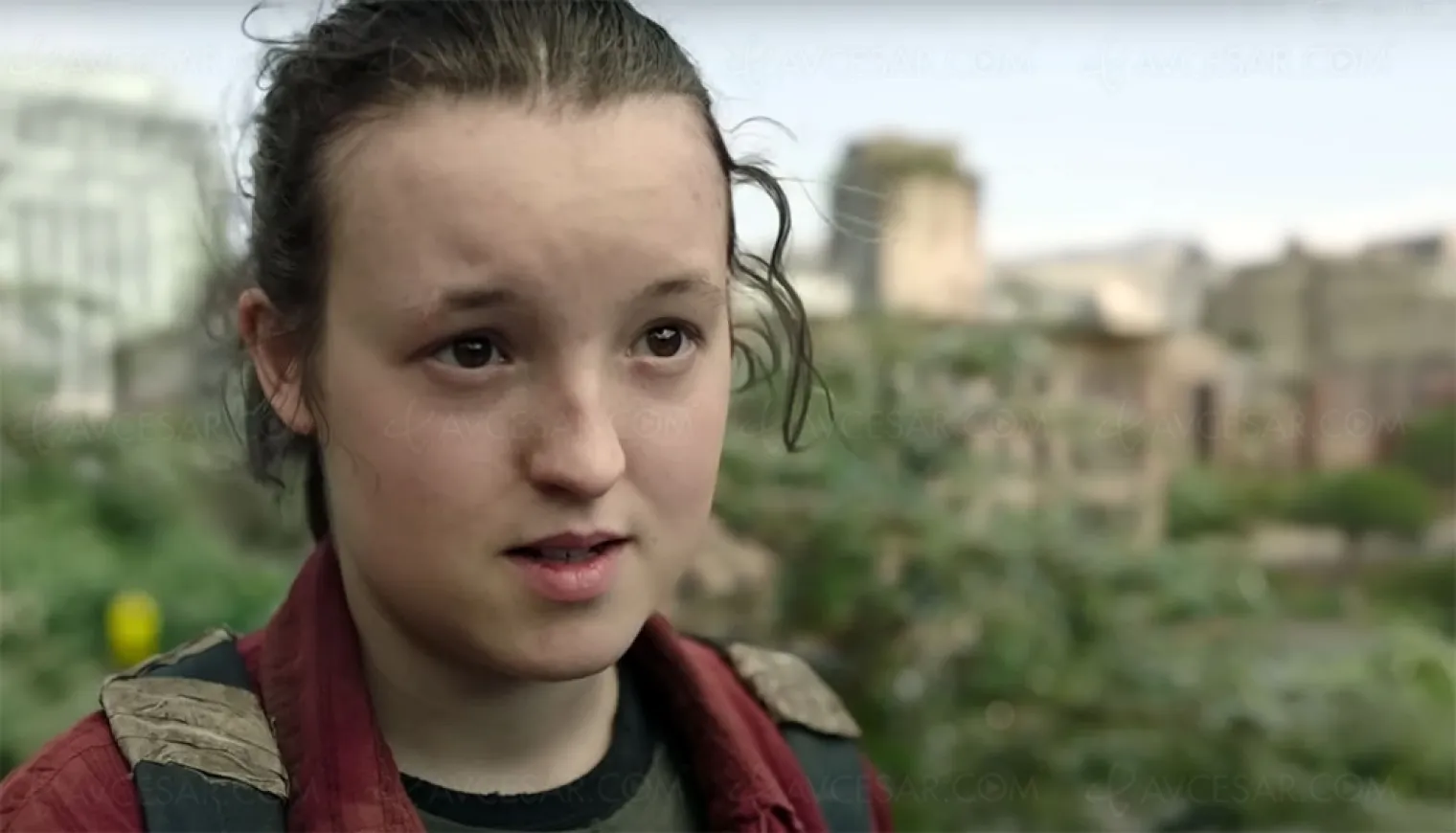 bande-annonce-de-l-episode-final-the-last-of-us-saison-1