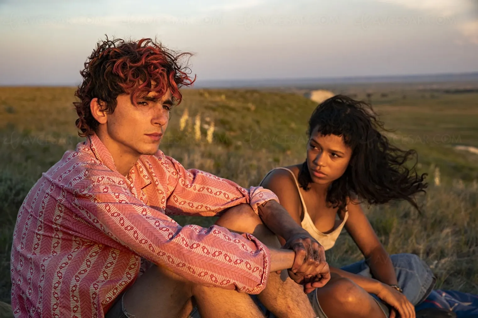 bones-and-all-chalamet-cannibale-dans-le-film-de-luca-guadagnino-call-me-by-your-name