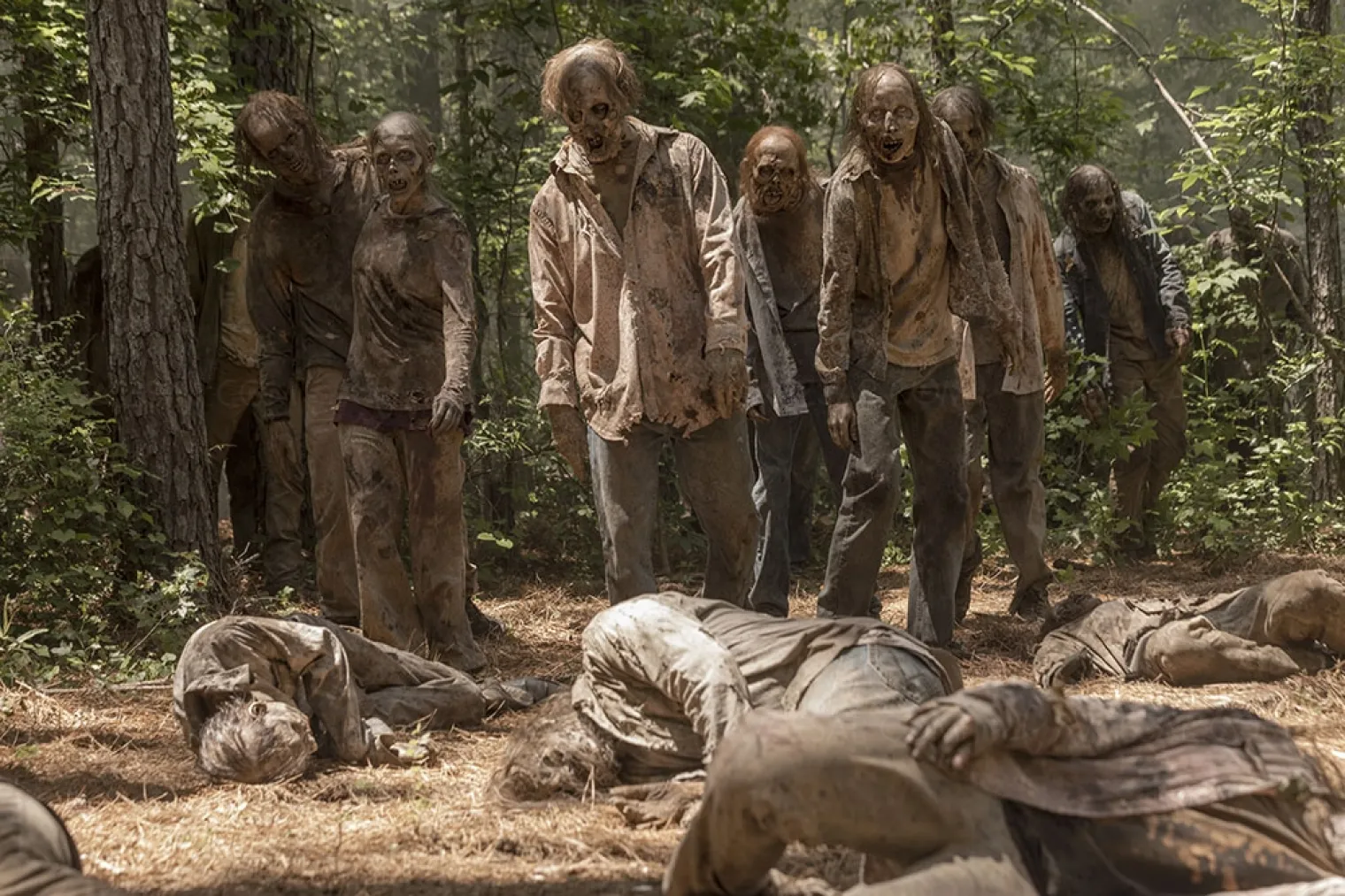 integrale-the-walking-dead-saisons-1-a-11-en-blu-ray-et-dvd