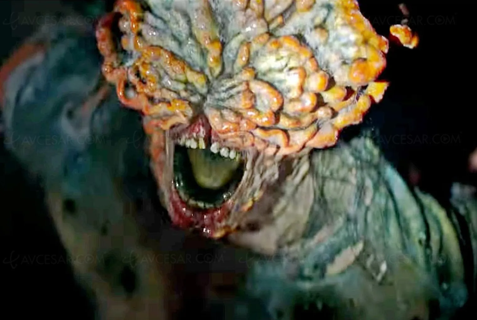 the-last-of-us-saison-2-quelques-infos-monstrueuses-importantes